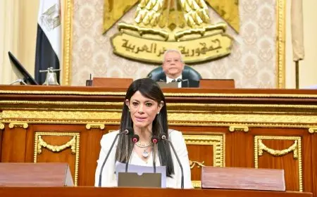 رانيا المشاط: استثمارات عامة بقيمة 27 مليار جنيه لقطاع الصناعات التحويلية في إطار خطة 25-2026