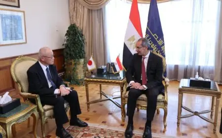 مصر واليابان تستعرضان سبل التعاون في مجالات دعم ريادة الأعمال والذكاء الاصطناعي
