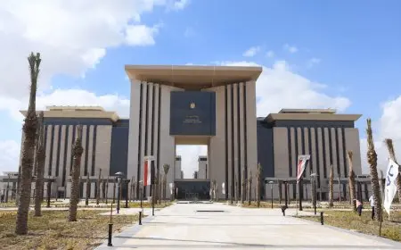 مصر تُعبر عن ترحيبها بإعلان المفوضية الأوروبية حول البرنامج المالي متعدد السنوات لدعم التعافي الفلسطيني