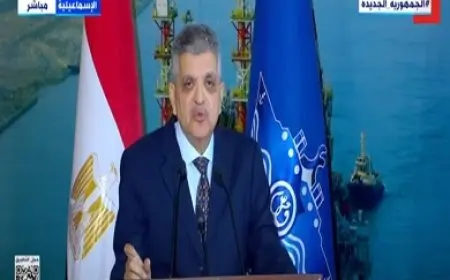 أسامة ربيع: أزمة البحر الأحمر تؤثر على العالم بأسره وليس فقط على قناة السويس