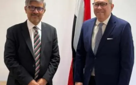 محادثات مصرية باكستانية لتعزيز العلاقات الثنائية