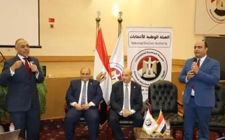 الهيئة الوطنية للانتخابات تُقام ندوة تفاعلية للشباب حول مشاركتهم في الاستحقاقات الدستورية
