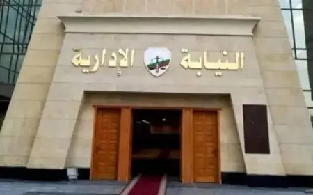 بأساليب احتيالية.. النيابة الإدارية تحيل مسؤولاً في قسم الصوتيات والمرئيات بأكاديمية الفنون للمحاكمة التأديبية