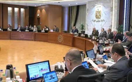 الحكومة توافق على زيادة التمويل المخصص للمنح الدورية للعمالة غير المنتظمة إلى 1500 جنيه لـ6 منح سنوية