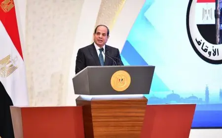 السيسي: مصر تؤيد المبادرات الهادفة لتهدئة الأوضاع في شرق الكونغو