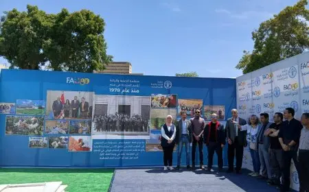 الزراعة: اللجنة المنظمة لمعرض زهور الربيع تواصل التحضيرات النهائية لافتتاحه يوم السبت المقبل