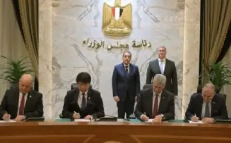 قانونية مستقبل وطن: استهداف الاحتلال آخر مستشفى في غزة ينذر ببدء تنفيذ مخطط تصفية القضية الفلسطينية