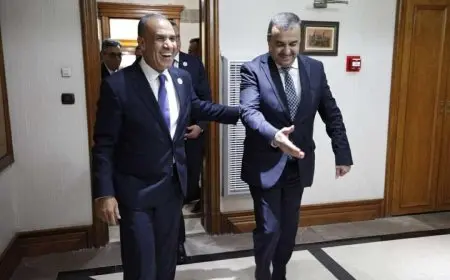 وزير الخارجية الجزائري: نسعى لتعزيز العلاقات الاقتصادية بناءً على رؤية الرئيسين السيسي وتبون