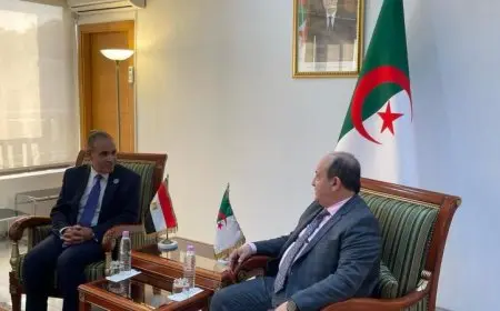وزير الخارجية: نسعى لتعزيز الشراكات الصناعية بين مصر والجزائر لمنافع متبادلة
