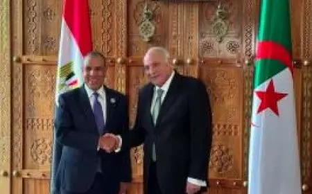 وزير الخارجية: نتعاون مع الجزائر لجمع الدعم الدولي لخطة إعادة إعمار غزة