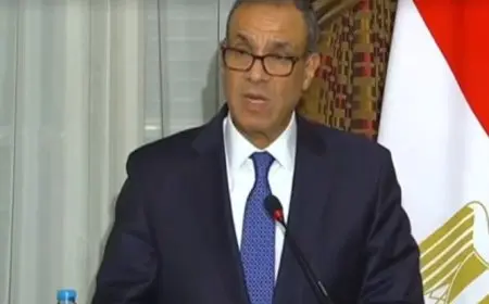 وزير الخارجية: نستعد لعقد الاجتماع المشترك بين مصر والجزائر في القاهرة