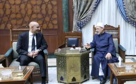 شيخ الأزهر ووزير التعليم يتباحثان حول إدراج وثيقة الأخوة الإنسانية في المناهج الدراسية