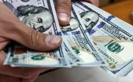 خبراء: قرار تقليل الفائدة يبعث برسالة قوية لدعم الاستثمار