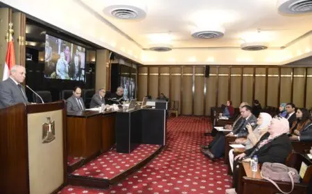 تشريع حكومي مرتقب من قبل اللجنة المحلية في النواب لتنظيم عمل الأسواق العشوائية