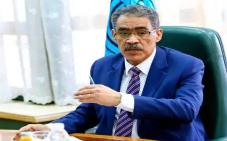 ضياء رشوان: 75% من المساعدات الإنسانية المقدمة لغزة من مصر.. واستقبلنا 105 آلاف فلسطيني لتلقي العلاج