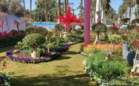 افتتاح معرض زهور الربيع في المتحف الزراعي بمشاركة أكثر من 200 عارض