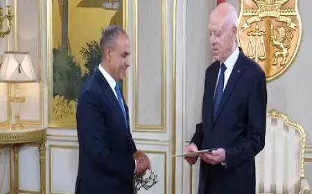 وزير الخارجية: مصر تعمل بجد للتوصل بسرعة إلى اتفاق لوقف إطلاق النار في غزة