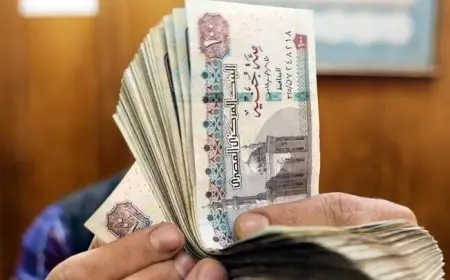 وزارة المالية: زيادة الحد الأدنى للأجور في يوليو تتضمن زيادة نقدية ونسبة علاوة مرتفعة