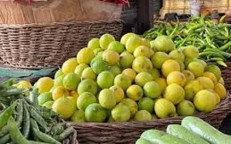 شعبة الخضروات: تأثير تغير المناخ تسبب في تضرر 50% من أشجار الليمون.. والإنتاج المتوقع في يوليو