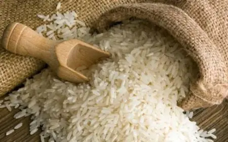 على الرغم من الحظر.. زيادة بنسبة 1161% في قيمة صادرات الأرز خلال شهر يناير الماضي