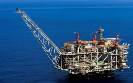 زيادة واردات مصر من أسماك الرنجة بنسبة 166.5% في شهر يناير الماضي