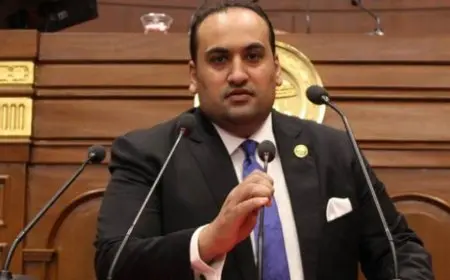 النائب محمد الرشيدي: قانون العمل الجديد خطوة نحو تحقيق العدالة الاجتماعية وحماية حقوق العمال