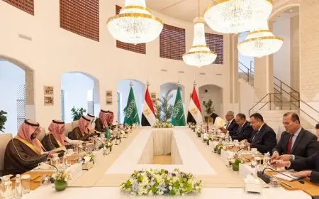 وزير الخارجية يقود وفد مصر في اجتماعات لجنة المتابعة والتشاور السياسي مع السعودية في الرياض