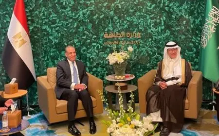 وزير الخارجية يلتقي وزير الطاقة السعودي أثناء زيارته للرياض