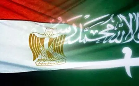 بيان مصري سعودي: إطلاق مجلس التنسيق العالي بين البلدين في أقرب فرصة