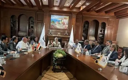 أمانة الاستثمار والشؤون الاقتصادية في الجبهة الوطنية تستعرض خطة شاملة لتعزيز الاقتصاد المصري