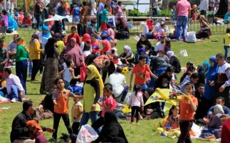 الإفتاء: شم النسيم تقليد مصري ولا مانع من الاحتفال به