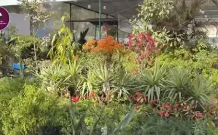 معرض زهور الربيع في مصر.. الأقدم في الشرق الأوسط ووجهة سياحية تحمل رسالة بيئية