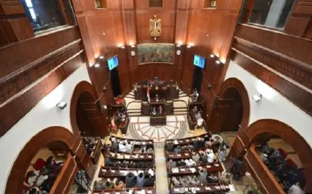 مجلس الشيوخ يبحث في تطوير شركات القطاع العام