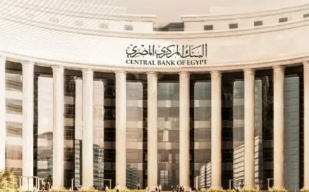 البنك المركزي يقلل من السيولة المسحوبة من خلال عطاء السوق المفتوحة بمبلغ 184 مليون جنيه