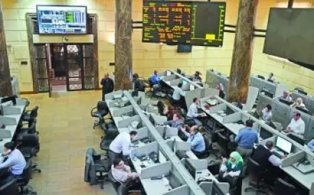 المشاط تناقش مع مؤسسة التمويل الدولية تعزيز القطاع الخاص ودفع برنامج الطروحات