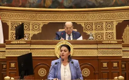 مجلس الشيوخ يوجه خطة التنمية الاقتصادية إلى لجنة الشؤون المالية