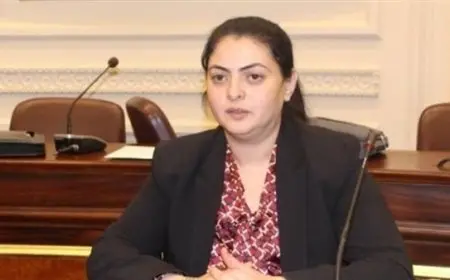 النائبة هند جوزيف: يجب تحقيق الاستفادة القصوى من أصول وعمالة شركات قطاع الأعمال