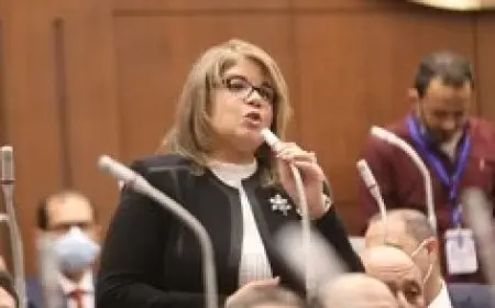 النائبة فيبي فوزي: ضرورة إعادة هيكلة شركات قطاع الأعمال