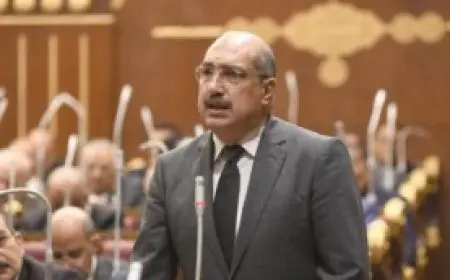 النائب إيهاب وهبة يدعو للإفصاح عن الكيانات الإنتاجية والمتعثرة في قطاع الأعمال وطرق تحسين أدائها