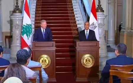 وزير الخارجية: جهودنا مستمرة لوقف انتهاكات إسرائيل لسيادة الدول العربية