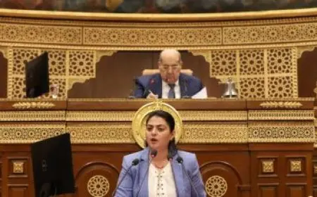 وزير الخارجية: الرئيس السيسي يقدم الدعم الكامل للدولة اللبنانية ومؤسساتها الوطنية