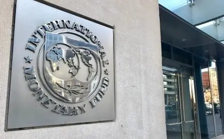 صندوق النقد الدولي يعدل توقعات النمو للاقتصاد المصري للسنة المالية الحالية والمقبلة