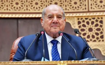 رئيس مجلس الشيوخ يُحال ملف تطوير شركات قطاع الأعمال إلى لجنة برلمانية