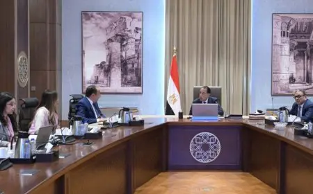 مدبولي يلتقي وزير قطاع الأعمال لبحث أحدث مستجدات تطوير صناعة الغزل والنسيج