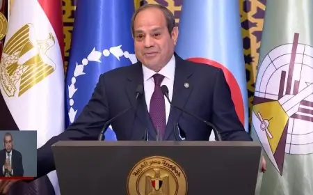 الرئيس السيسي: نبذل جهودًا لإدخال عناصر كفؤة في مؤسسات الدولة