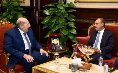 لقاء وزير الخارجية برئيس مجلس الشيوخ