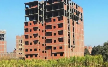 التنمية المحلية: تقديم 2.8 مليون طلب للتصالح في مخالفات البناء من قبل المواطنين