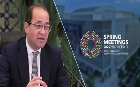 المالية: التغيرات المستقبلية في التجارة العالمية تجعل أفريقيا وجهة مثالية للاستثمار الأجنبي