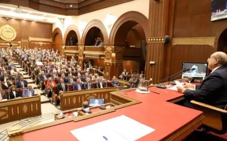 مجلس الشيوخ يبحث سياسات تطوير نظام زراعي صناعي متكامل للإنتاج