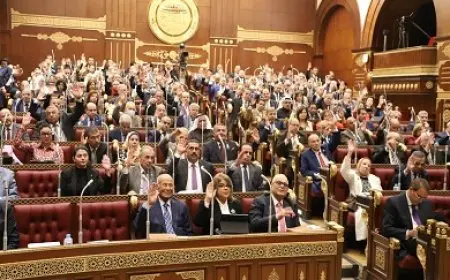 مجلس الشيوخ يستعرض دراسة حول تحديات وفرص الأمن الغذائي في مصر